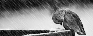 Не ховаємо теплі речі: синоптики прогнозують холодний початок квітня з дощами і снігом